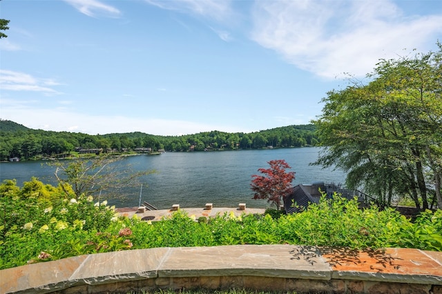 4176 W Club Blvd, Lake Toxaway, NC 28747 - photo 46