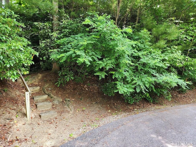 LOT308 Whisper Winds Ct, Sapphire NC, 28774 land for sale