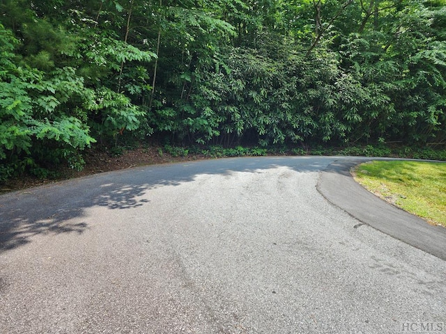 Listing photo 2 for LOT308 Whisper Winds Ct, Sapphire NC 28774