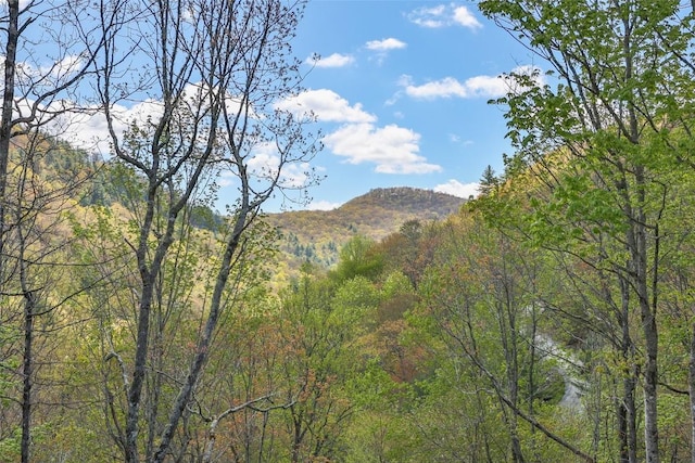 1066 Fowler Rd, Glenville, NC 28736 - photo 26