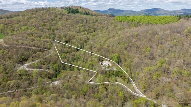 1066 Fowler Rd, Glenville, NC 28736 - photo 10
