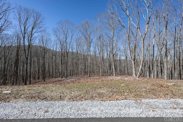 LOTC43 Roaming Rd, Glenville NC, 28736 land for sale