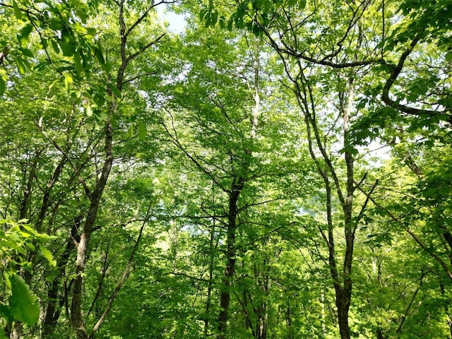 LOT2 Glenshore Dr, Cullowhee, NC 28723