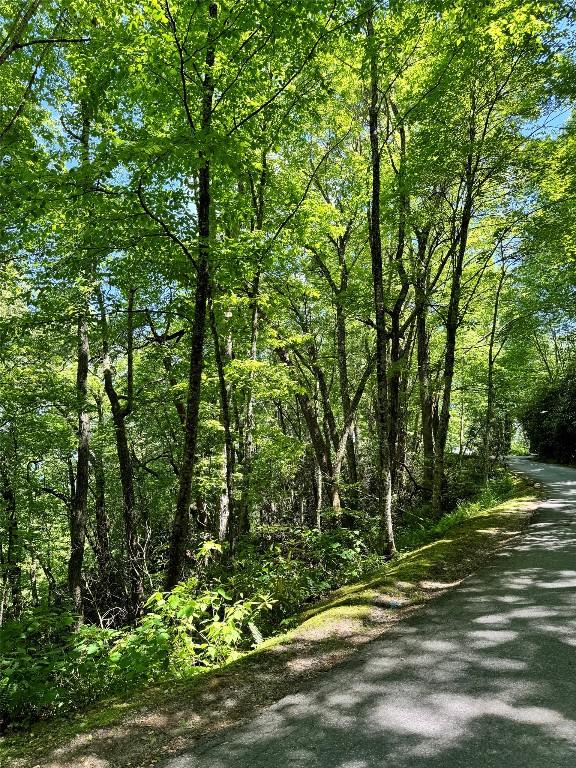 LOT2 Glenshore Dr, Cullowhee, NC 28723