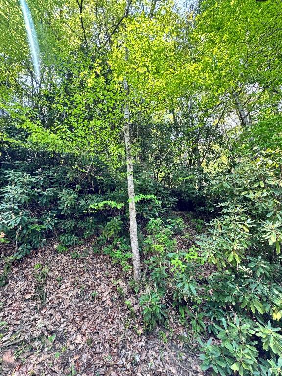 LOT2 Glenshore Dr, Cullowhee, NC 28723