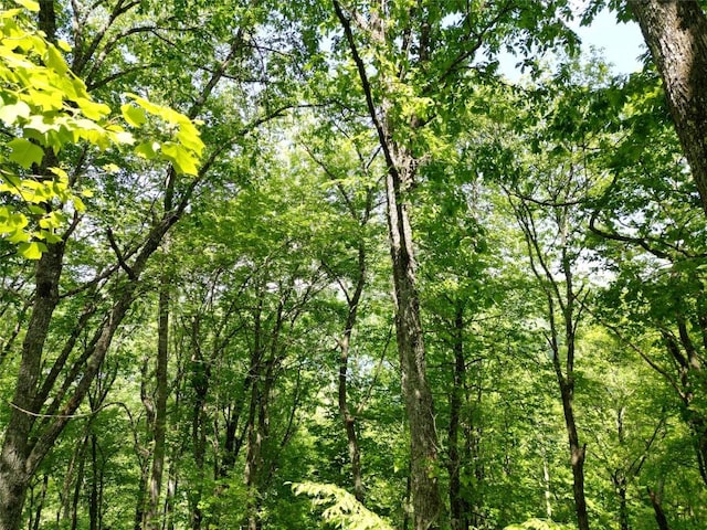 LOT2 Glenshore Dr, Cullowhee, NC 28723