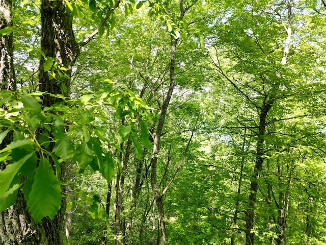 LOT2 Glenshore Dr, Cullowhee, NC 28723