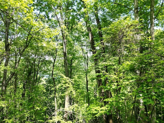 LOT2 Glenshore Dr, Cullowhee, NC 28723