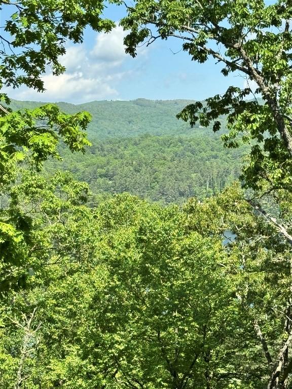 LOT2 Glenshore Dr, Cullowhee, NC 28723