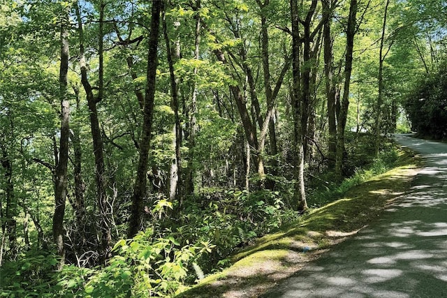 LOT2 Glenshore Dr, Cullowhee, NC 28723