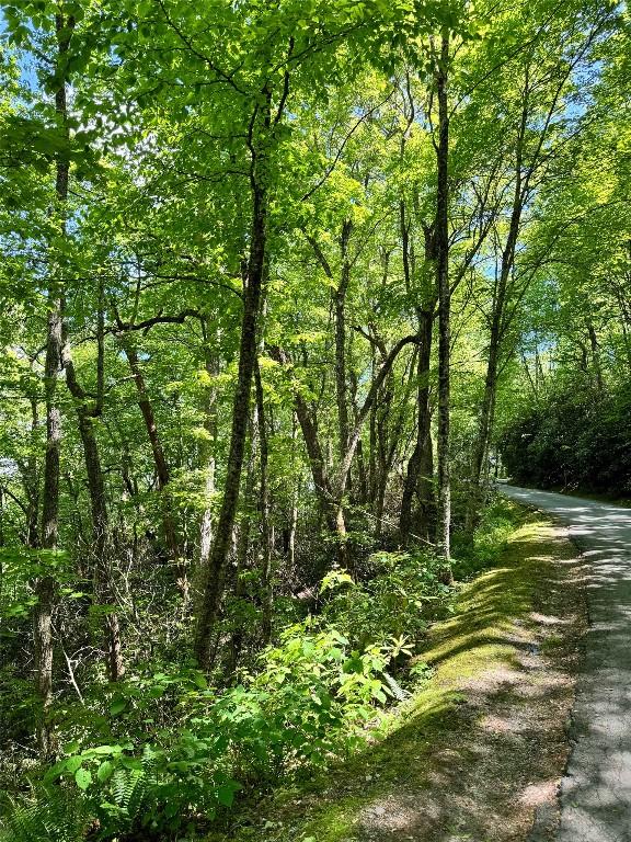 LOT2 Glenshore Dr, Cullowhee, NC 28723
