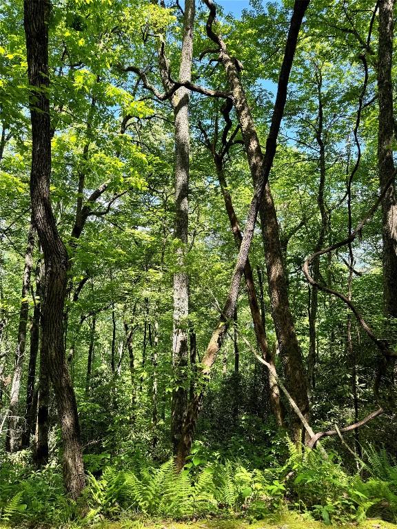 LOT2 Glenshore Dr, Cullowhee, NC 28723