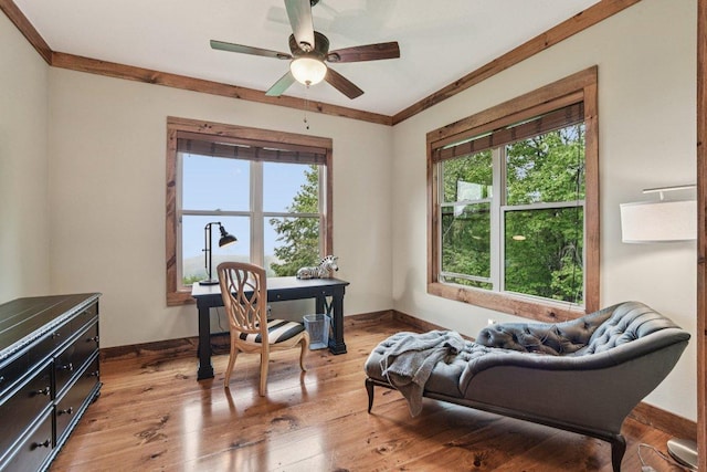 71 Raptor Way, Sapphire, NC 28774 - office area featuring a ceiling fan, crown molding, and light wood-style floors