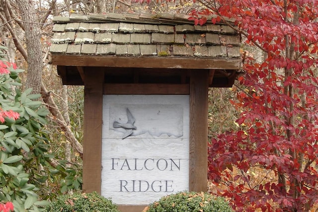 71 Raptor Way, Sapphire, NC 28774 - exterior view
