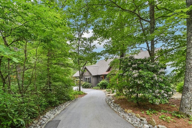 71 Raptor Way, Sapphire, NC 28774 - view of front of house with roof with shingles
