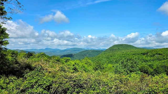 71 Raptor Way, Sapphire, NC 28774 - view of mountain backdrop with a forest