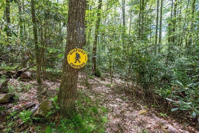 79 Azalea Ct, Sapphire, NC 28774 - view of undeveloped land