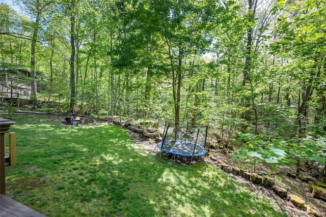 79 Azalea Ct, Sapphire, NC 28774 - view of green lawn with a trampoline and a view of trees