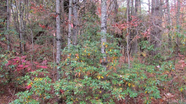 LOT74 Big Pine Rd, Sapphire NC, 28774 land for sale