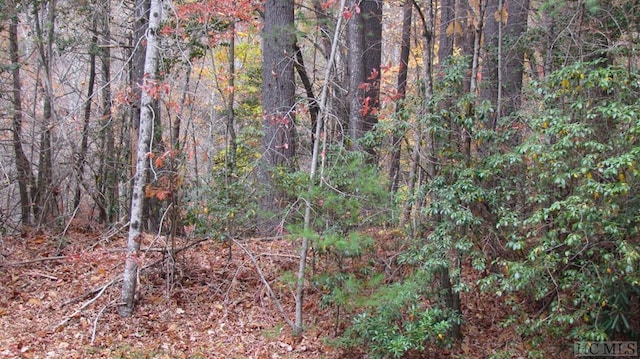 Listing photo 3 for LOT74 Big Pine Rd, Sapphire NC 28774