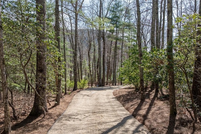 surrounding community with driveway and a forest view