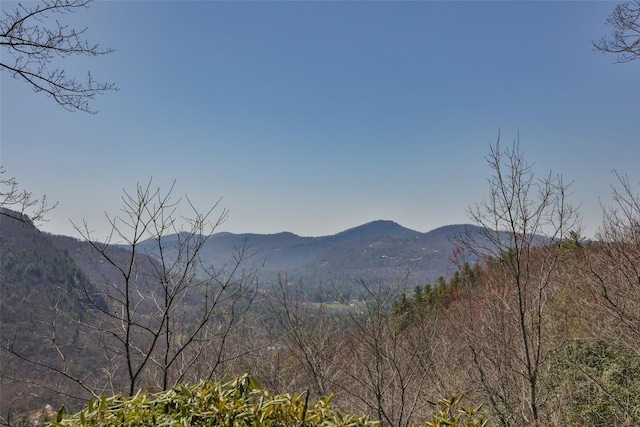 mountain view
