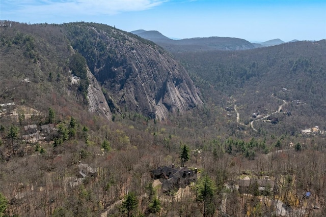 view of mountain feature featuring a forest view