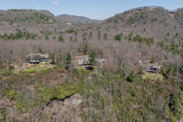 property view of mountains with a forest view