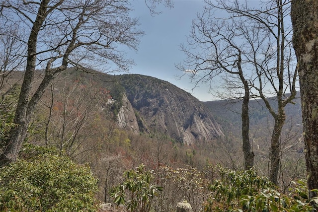 view of mountain feature
