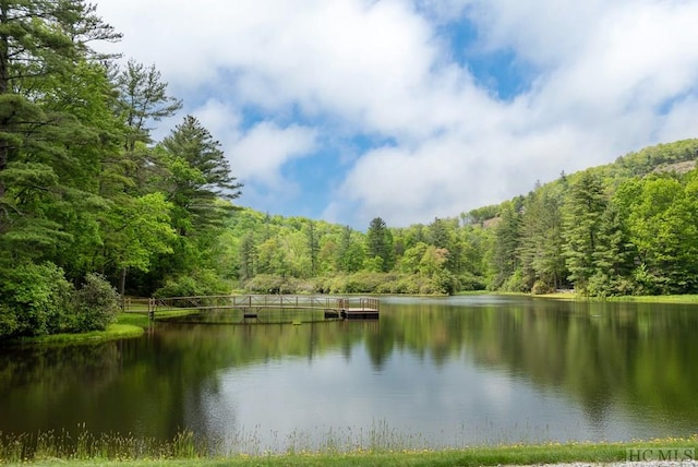 property view of water featuring a forest view