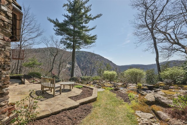 view of yard featuring a patio area and a mountain view