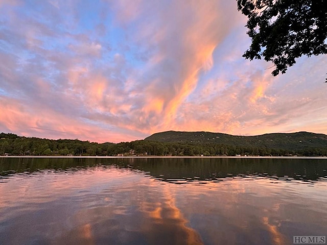 property view of water featuring a mountain view and a view of trees