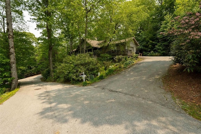 49 Jessamine Ln, Highlands, NC 28741 - view of asphalt driveway