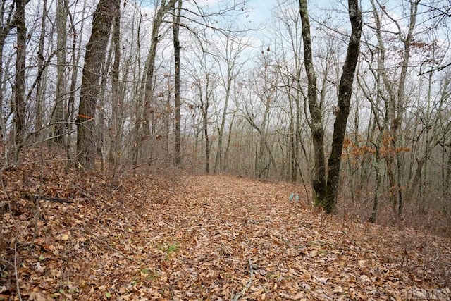 Listing photo 2 for LOT4 Broadview Ln, Glenville NC 28736