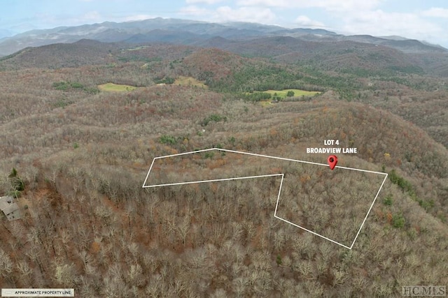 Listing photo 3 for LOT4 Broadview Ln, Glenville NC 28736