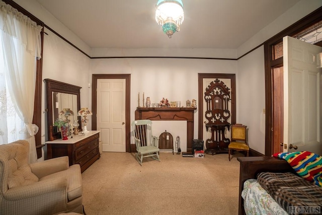 sitting room featuring carpet