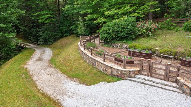 55 Oconee Belle Trl, Glenville, NC 28736 - view of yard featuring a vegetable garden and a forest view