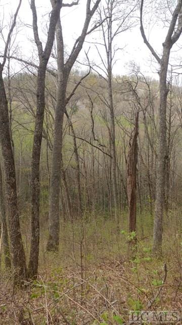 LOT7 Captiva Mountain Dr, Cullowhee NC, 28723 land for sale