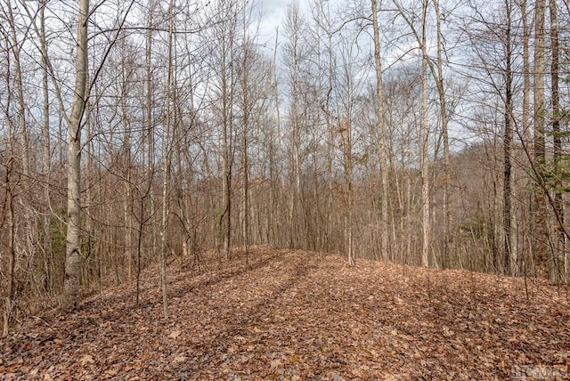 LOT62 Pilot Knob Rd, Glenville NC, 28736 land for sale