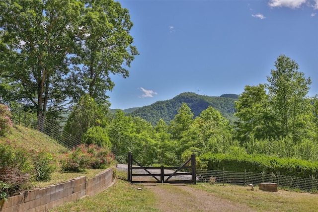 228 Mountain Laurel Dr, Franklin, NC 28734 - mountain view with a heavily wooded area