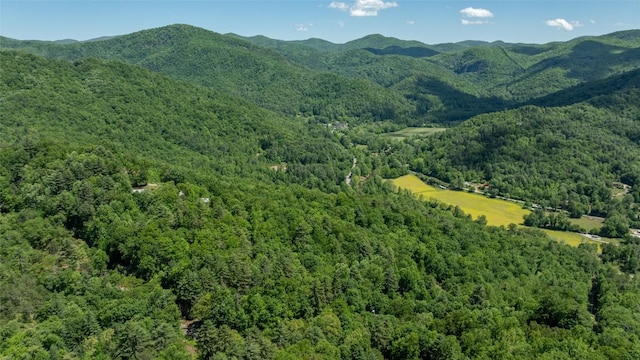 228 Mountain Laurel Dr, Franklin, NC 28734 - view of mountain backdrop with a heavily wooded area