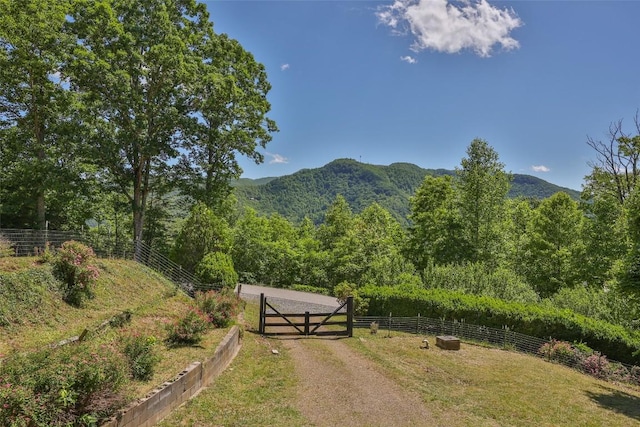 228 Mountain Laurel Dr, Franklin, NC 28734 - mountain view with a forest
