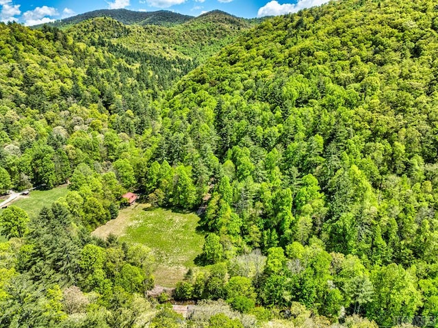 2177 Buck Creek Rd, Highlands, NC 28741 - mountain view featuring a view of trees