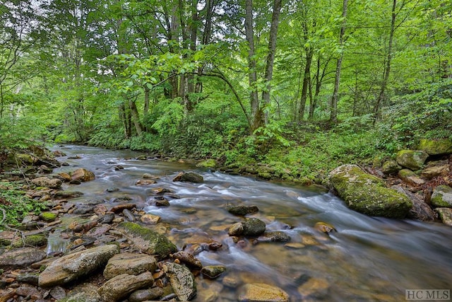 2177 Buck Creek Rd, Highlands, NC 28741 - exterior space featuring a forest view