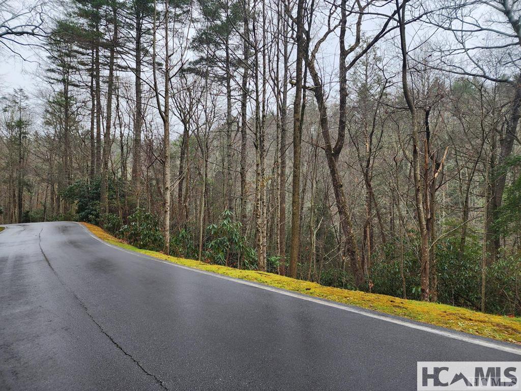 8 River Overlook Rd, Sapphire, NC 28774