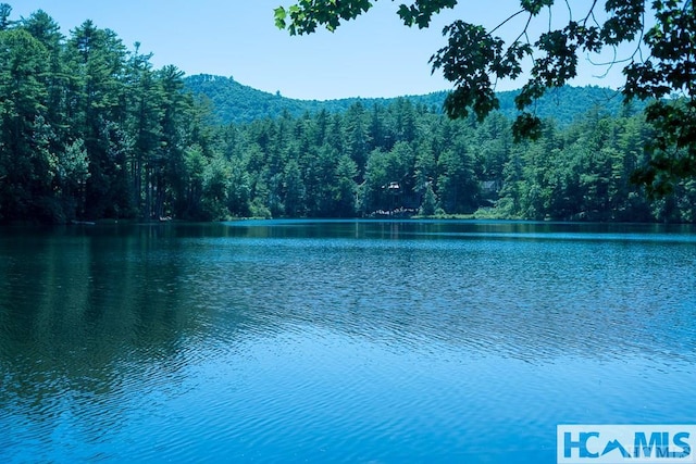 920 Sapphire Post Office Rd, Cashiers, NC 28774 - water view with a heavily wooded area