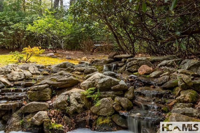920 Sapphire Post Office Rd, Cashiers, NC 28774 - view of local wilderness