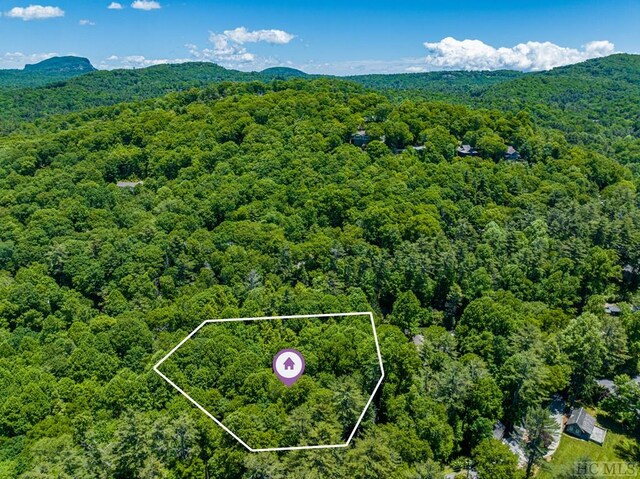LOT16A N Cobb Rd, Highlands, NC 28741 - photo 17