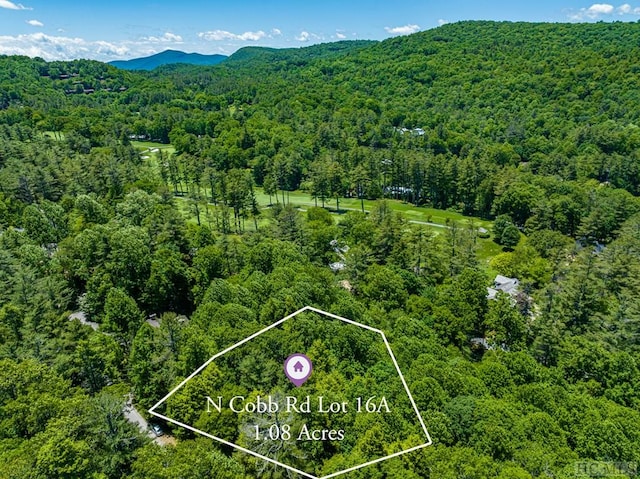 LOT16A N Cobb Rd, Highlands, NC 28741 - photo 1