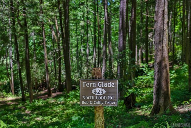 LOT16A N Cobb Rd, Highlands, NC 28741 - photo 9